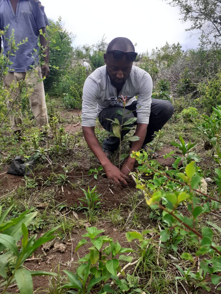 Expanding Kenya’s Green Belt