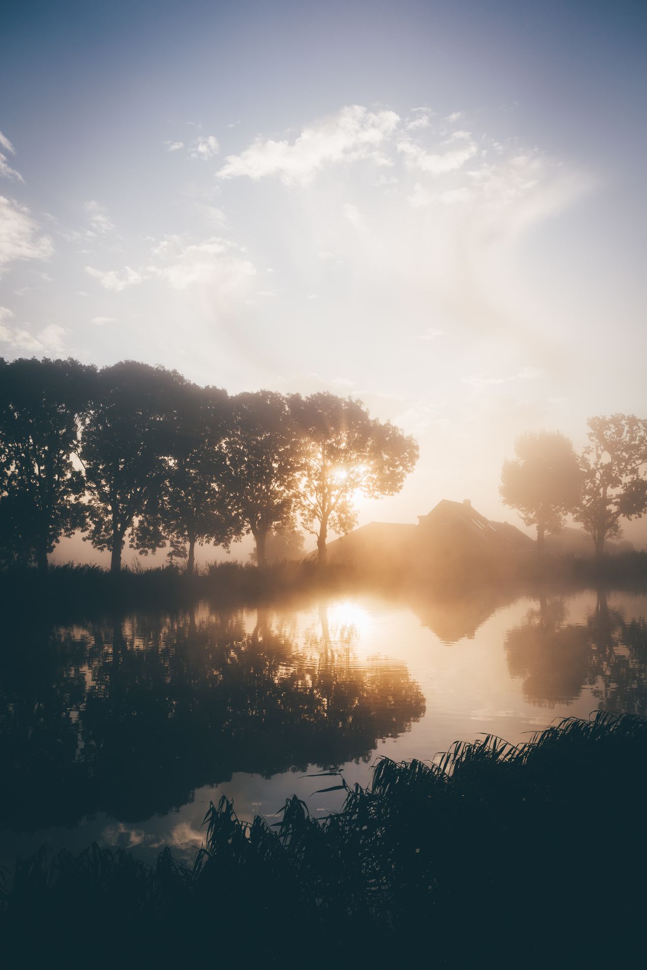 Light in the Mourning