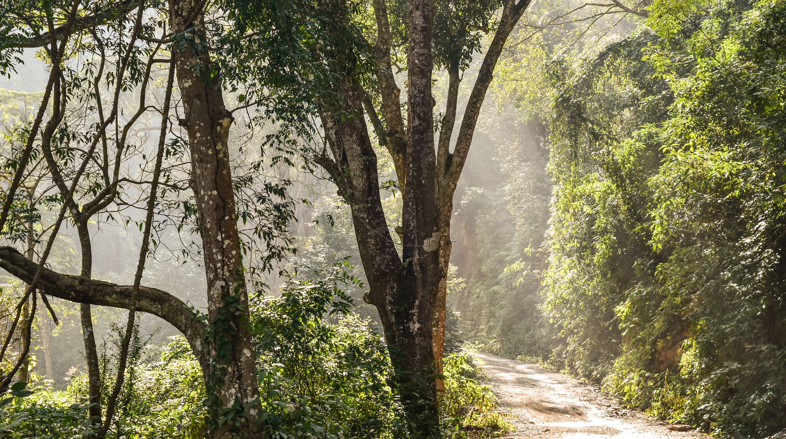 Mindfulness: The Antidote to my Anxiety