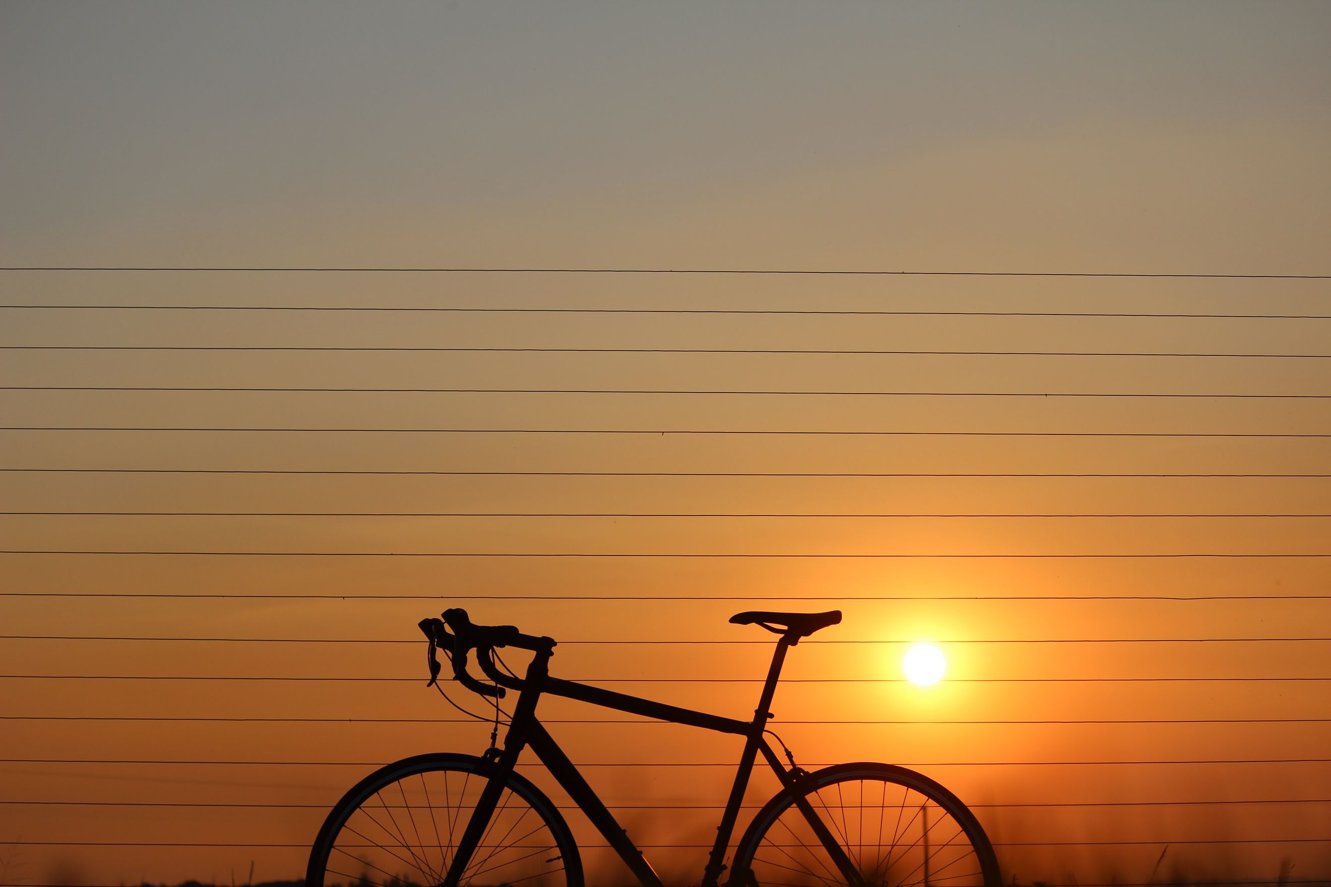 Cycle, Brother, Cycle