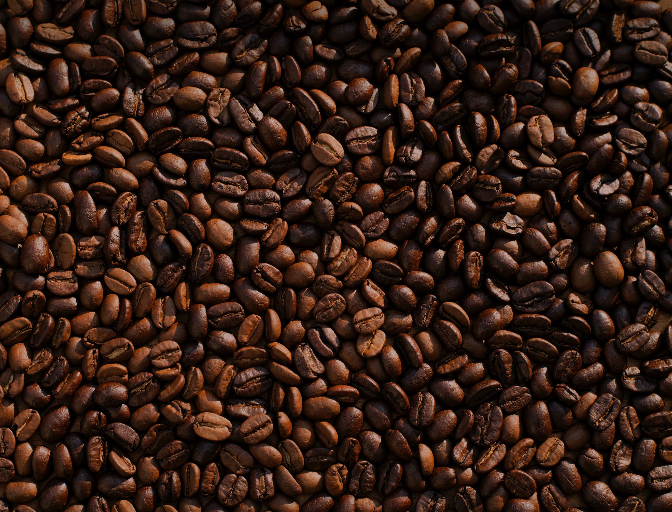 Genet's Brew